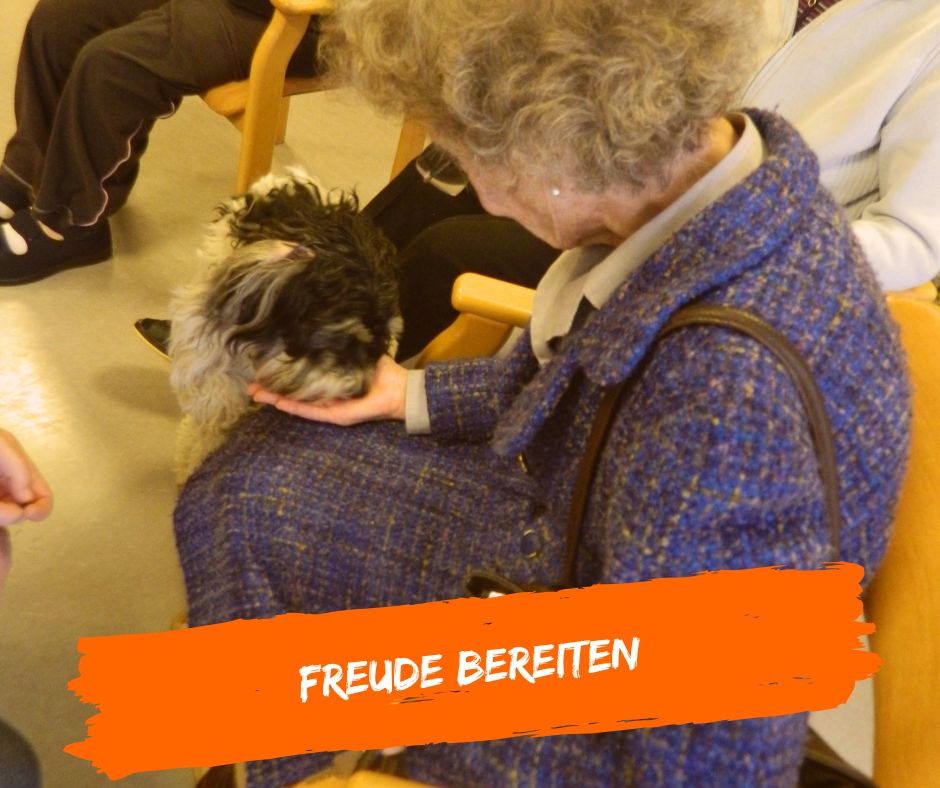 Als Therapiehund Freude bereiten