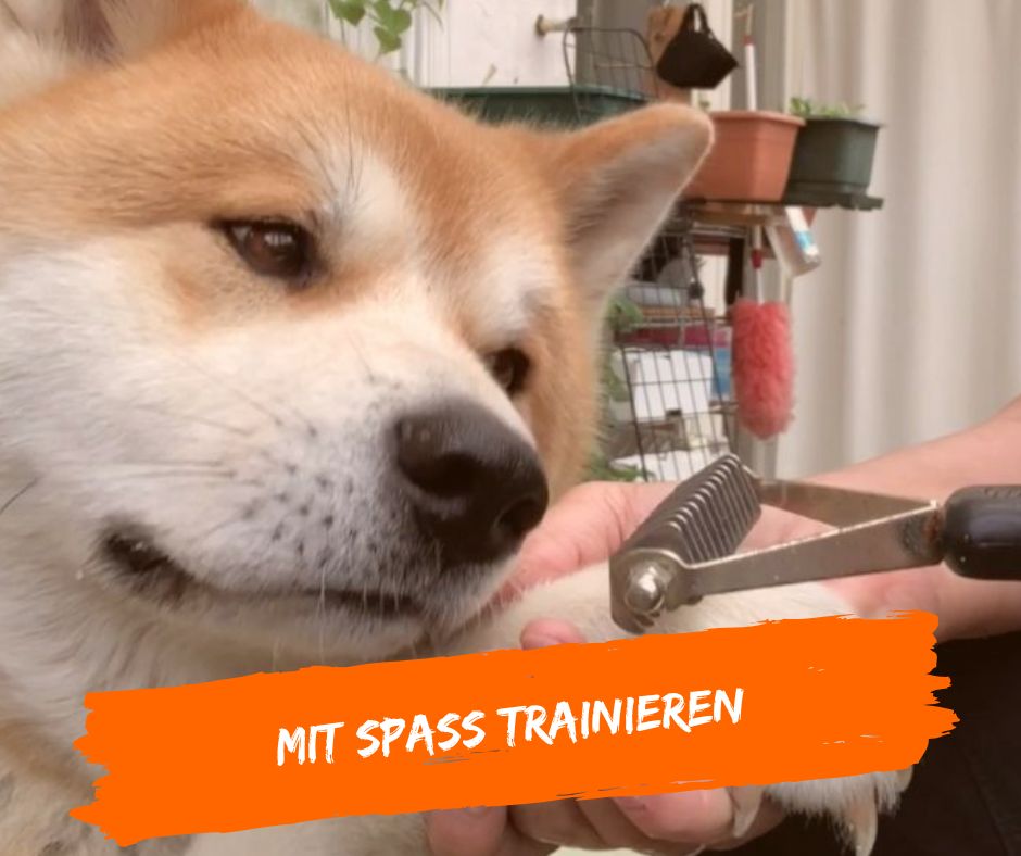 Medical Training macht Spaß