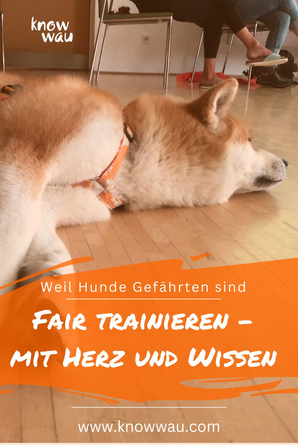 Fair Trainieren mit Herz und Wissen