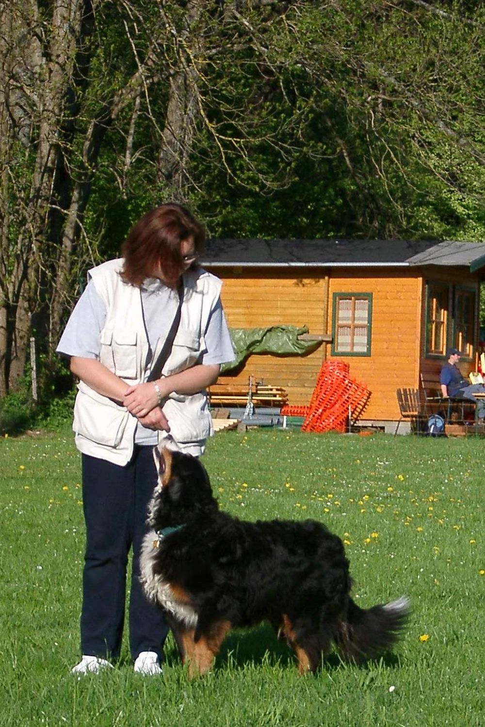 Karin Immler, Hundeschule know wau