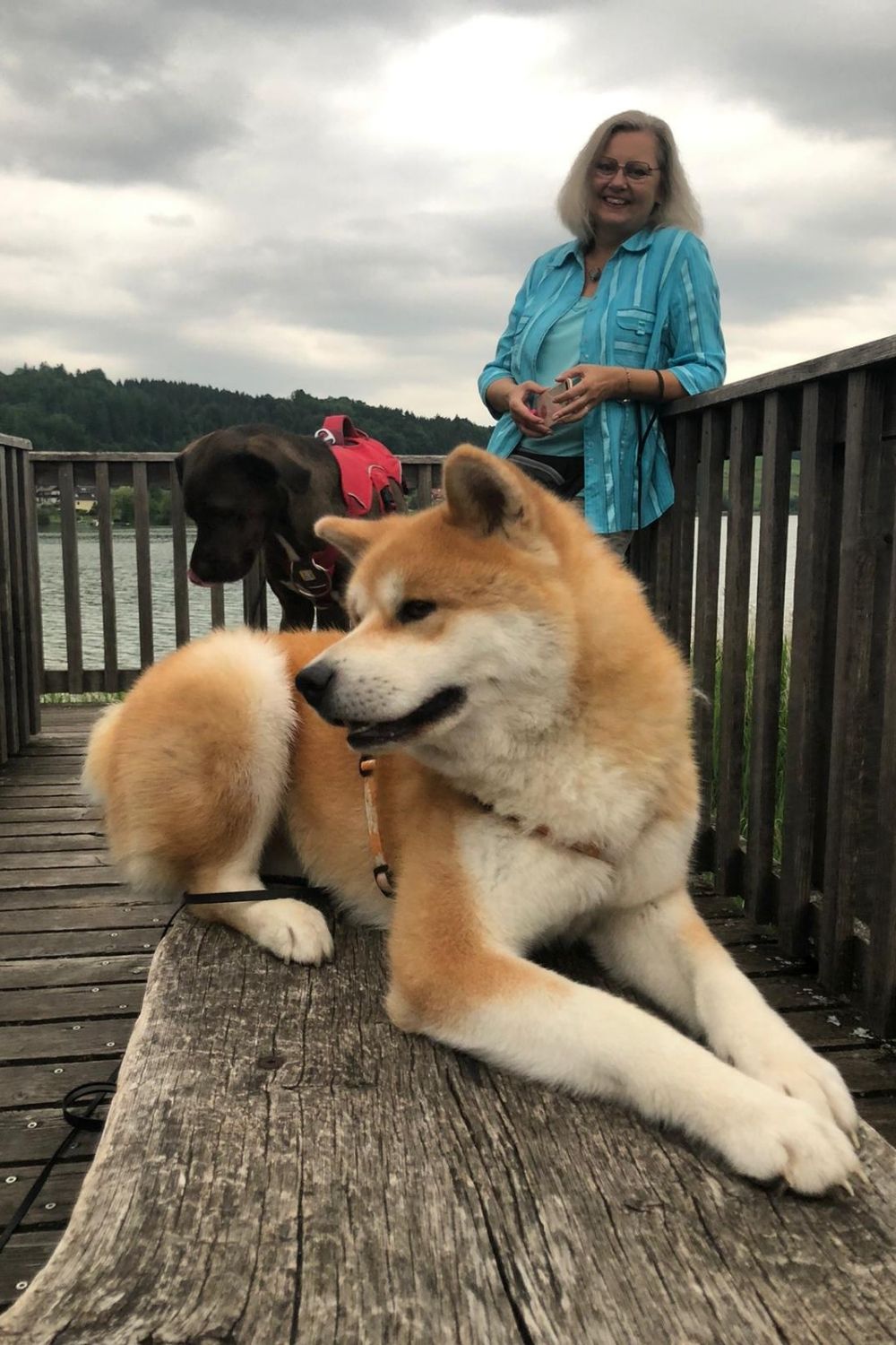 Hundeschule know wau, Karin Immler