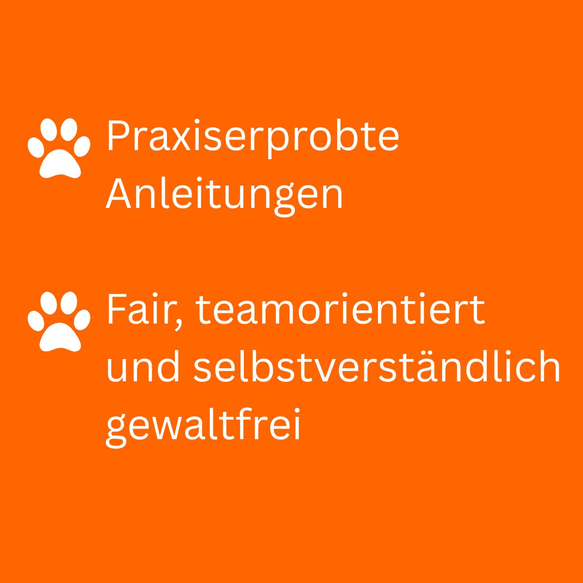für ein harmonisches Mensch-Hund-Traumteam
