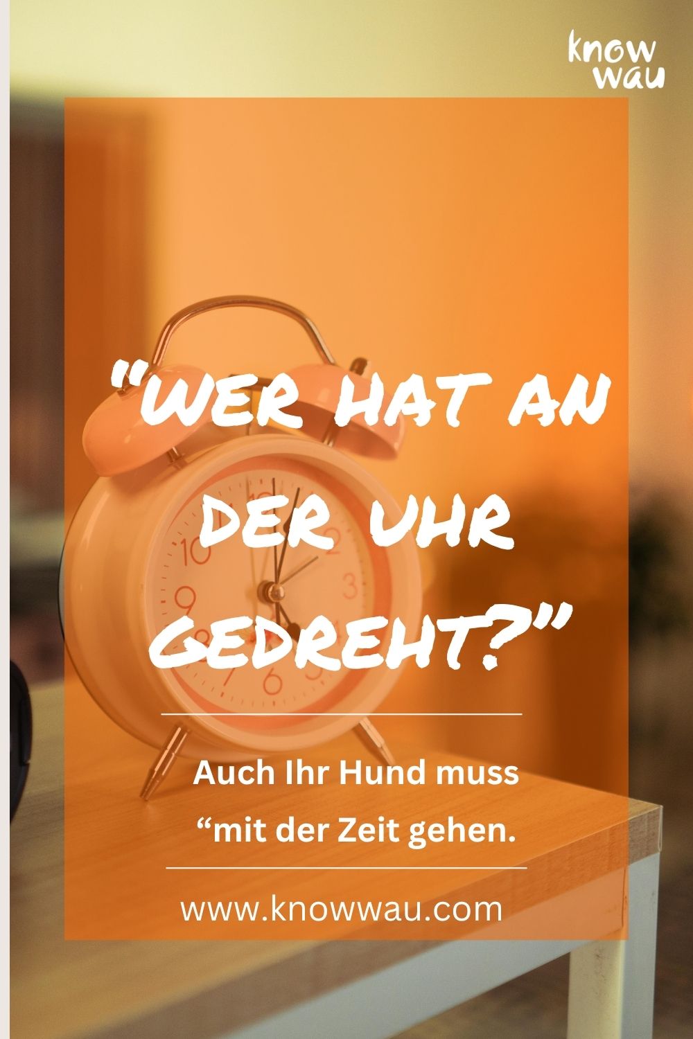 Erleichtern Sie Ihrem Hund die Zeitumstellung