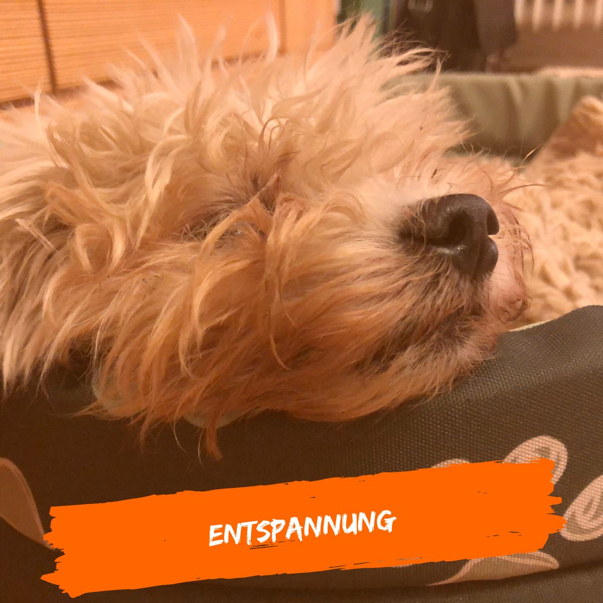 Entspannung zu Silvester